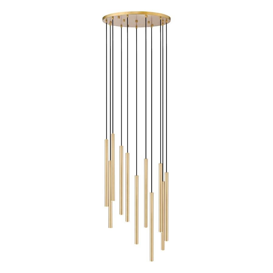 Z-Lite Forest 24" Wide Chandelier