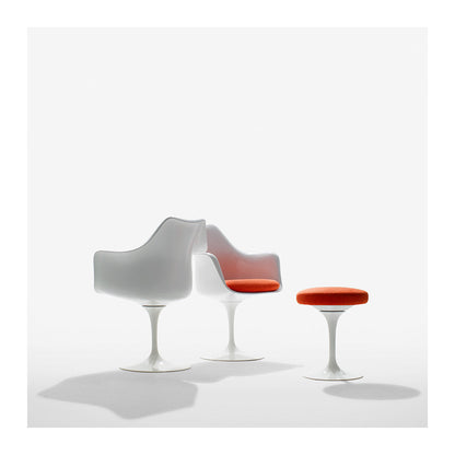 Tulip Armchair with Seat Cushion