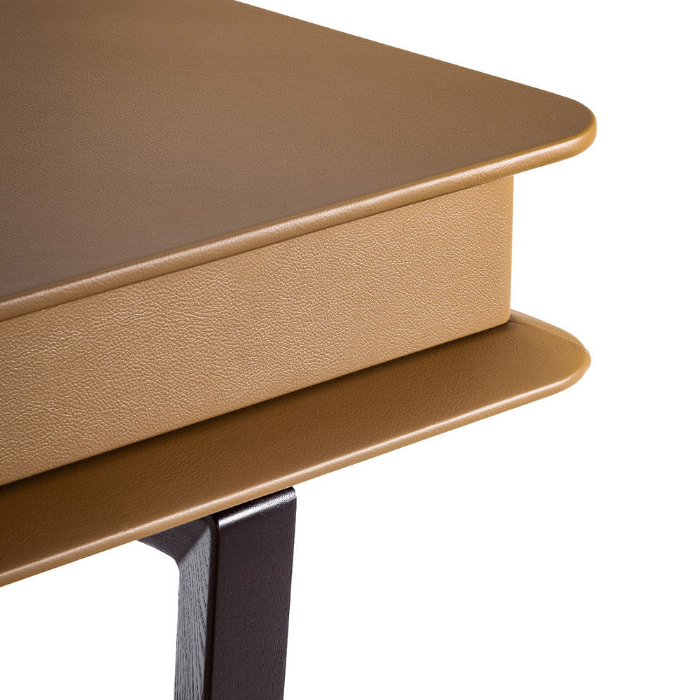 Peek-a-Book Desk