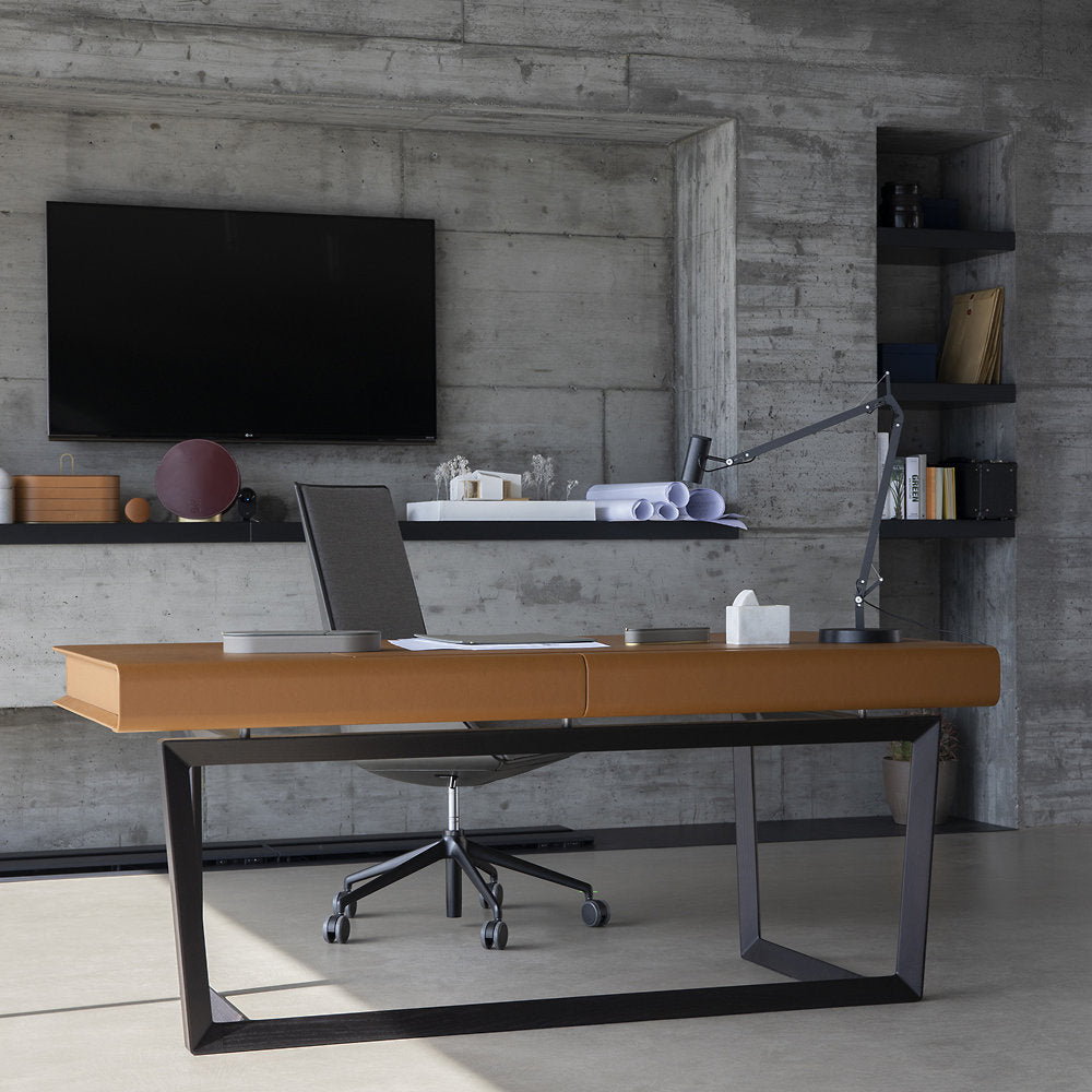 Peek-a-Book Desk