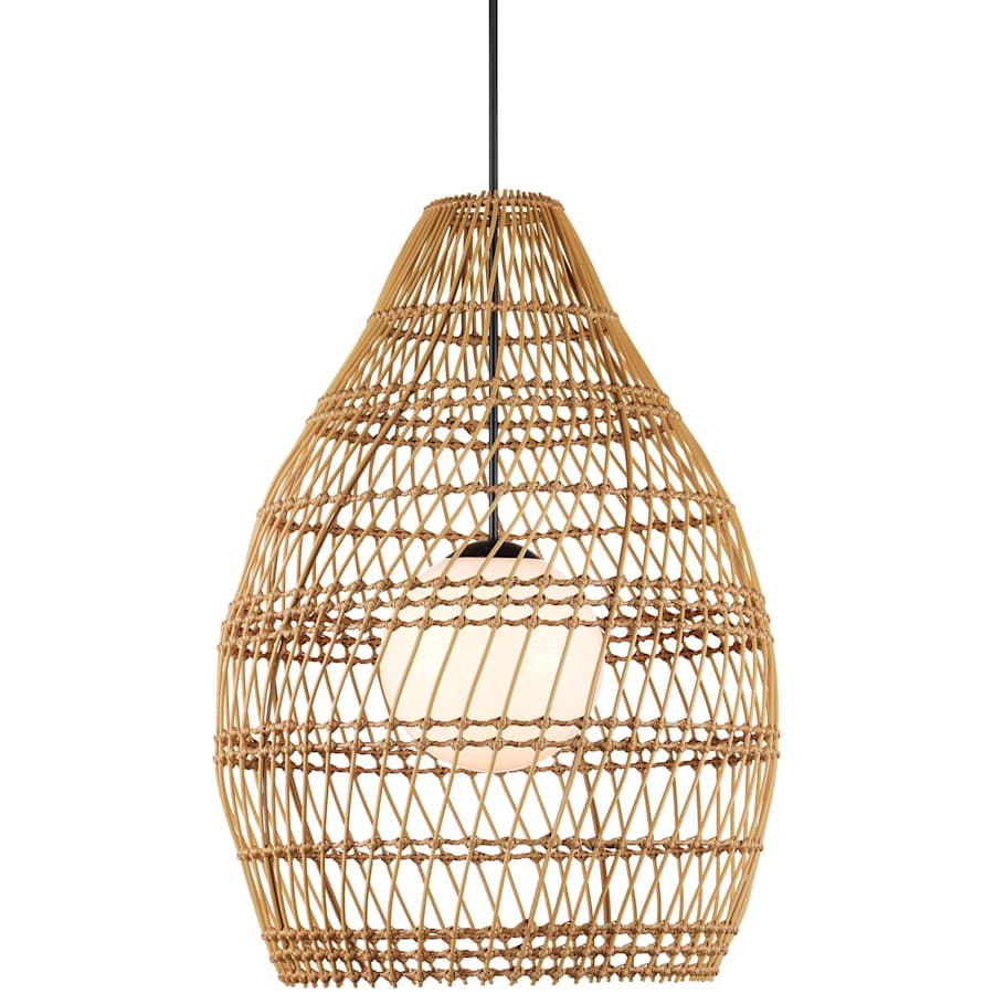 Currey and Company Fishtrap 30" Wide Outdoor Pendant