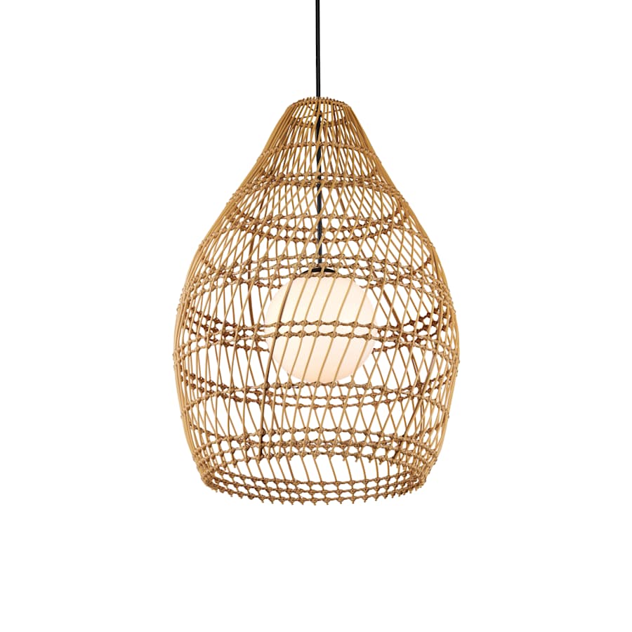 Currey and Company Fishtrap 30" Wide Outdoor Pendant