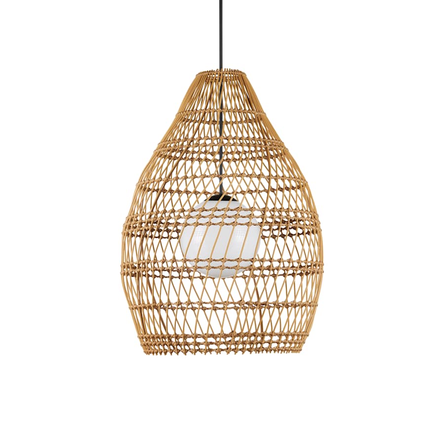 Currey and Company Fishtrap 30" Wide Outdoor Pendant