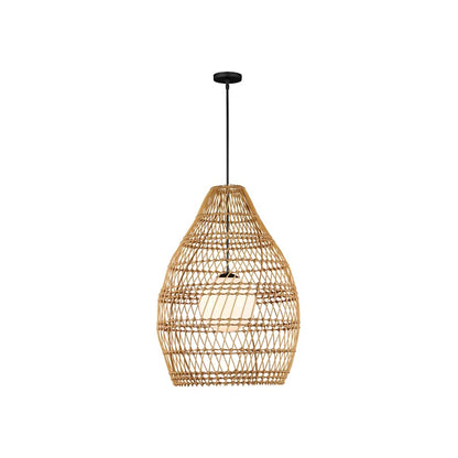 Currey and Company Fishtrap 30" Wide Outdoor Pendant