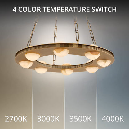 Modern Forms Lorelei 28" Wide LED Ring Chandelier with Natural Jade Stone Shades