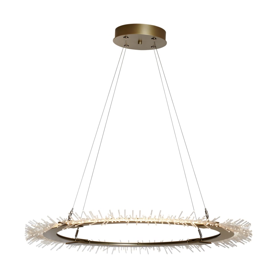 Vermont Modern Anemone 36-7/8" Wide Integrated LED Ring Chandelier with Acrylic LED Accents