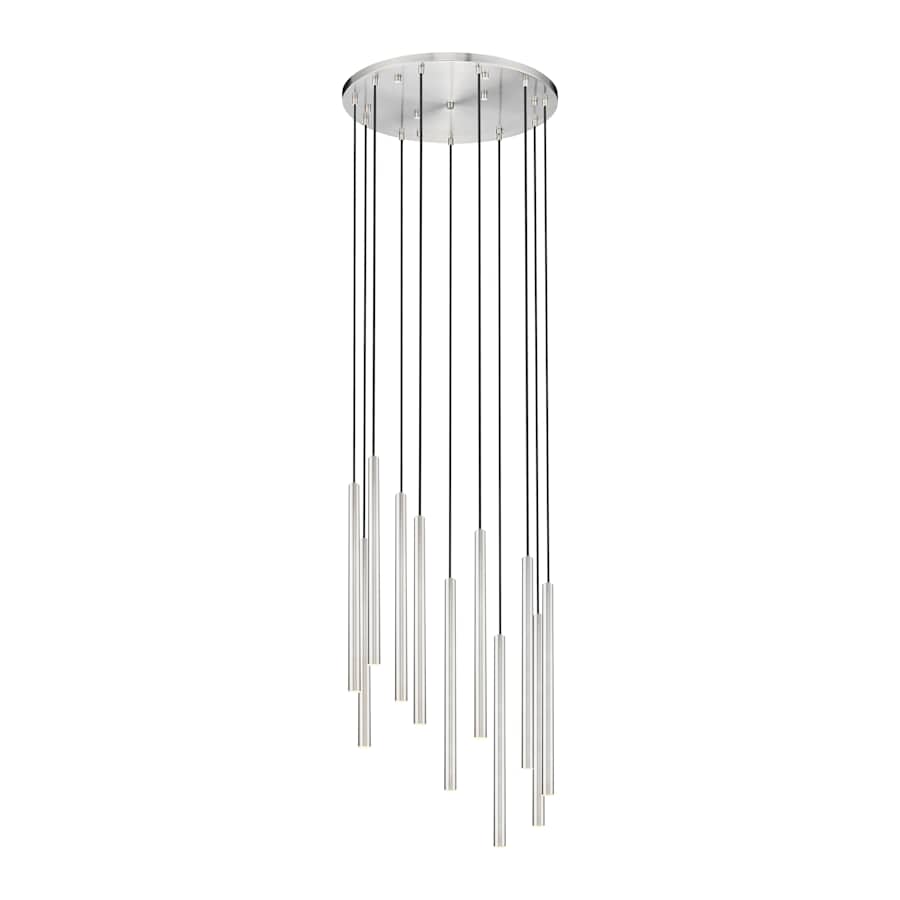 Z-Lite Forest 24" Wide Chandelier