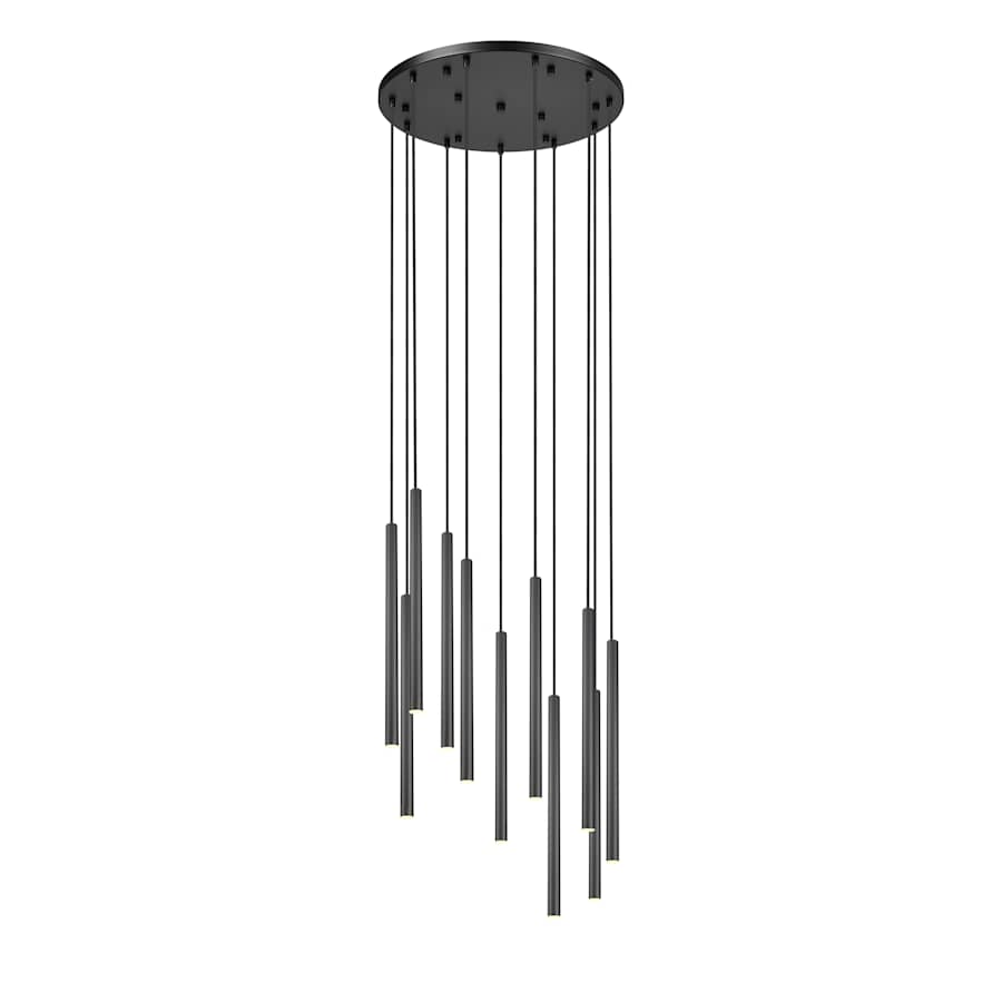 Z-Lite Forest 24" Wide Chandelier