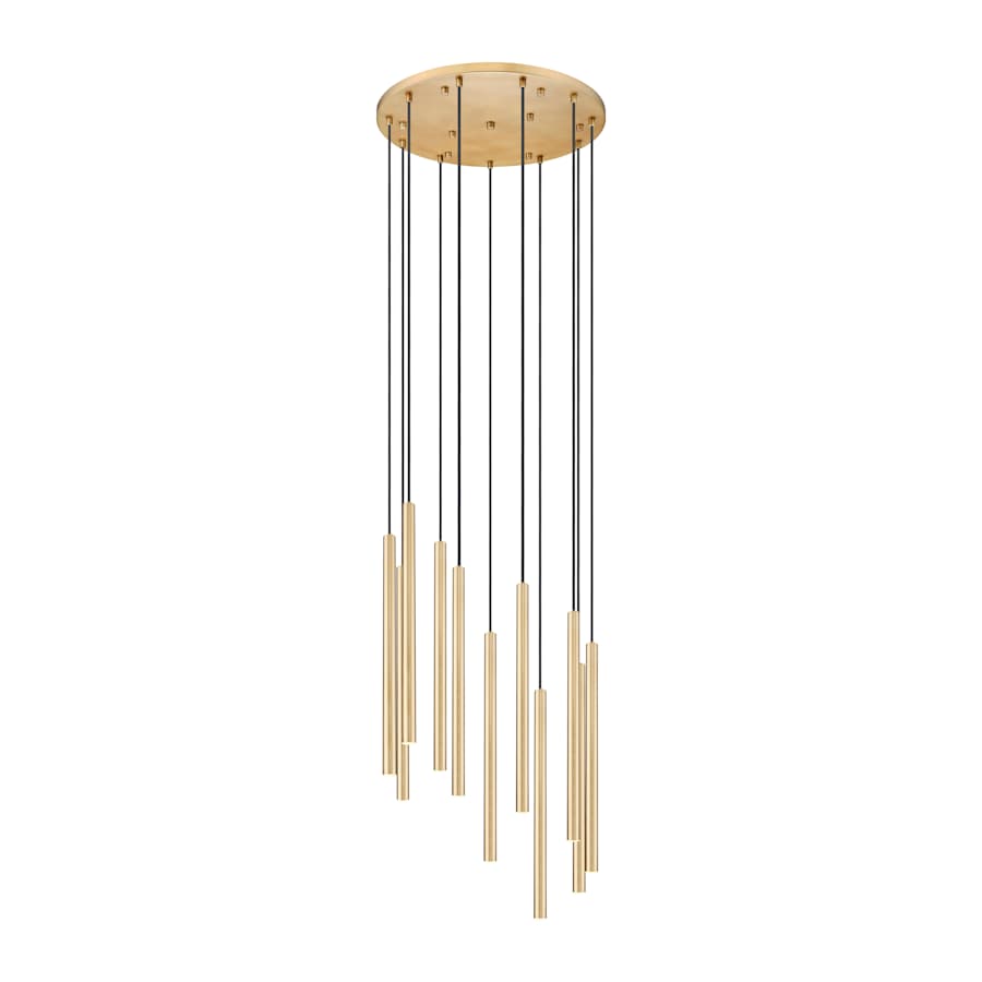 Z-Lite Forest 24" Wide Chandelier
